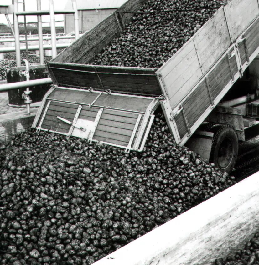 Geschiedenis Main Image