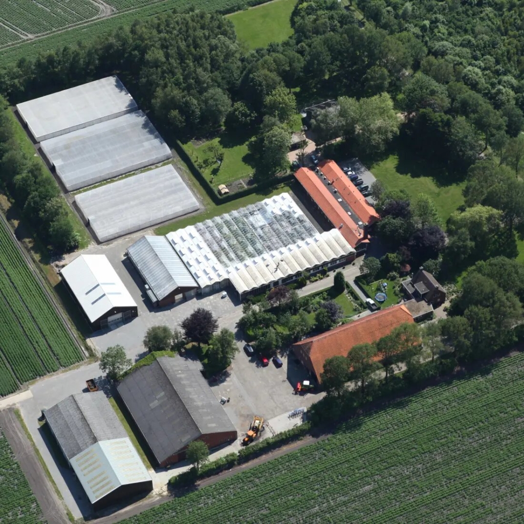 Geschiedenis Main Image